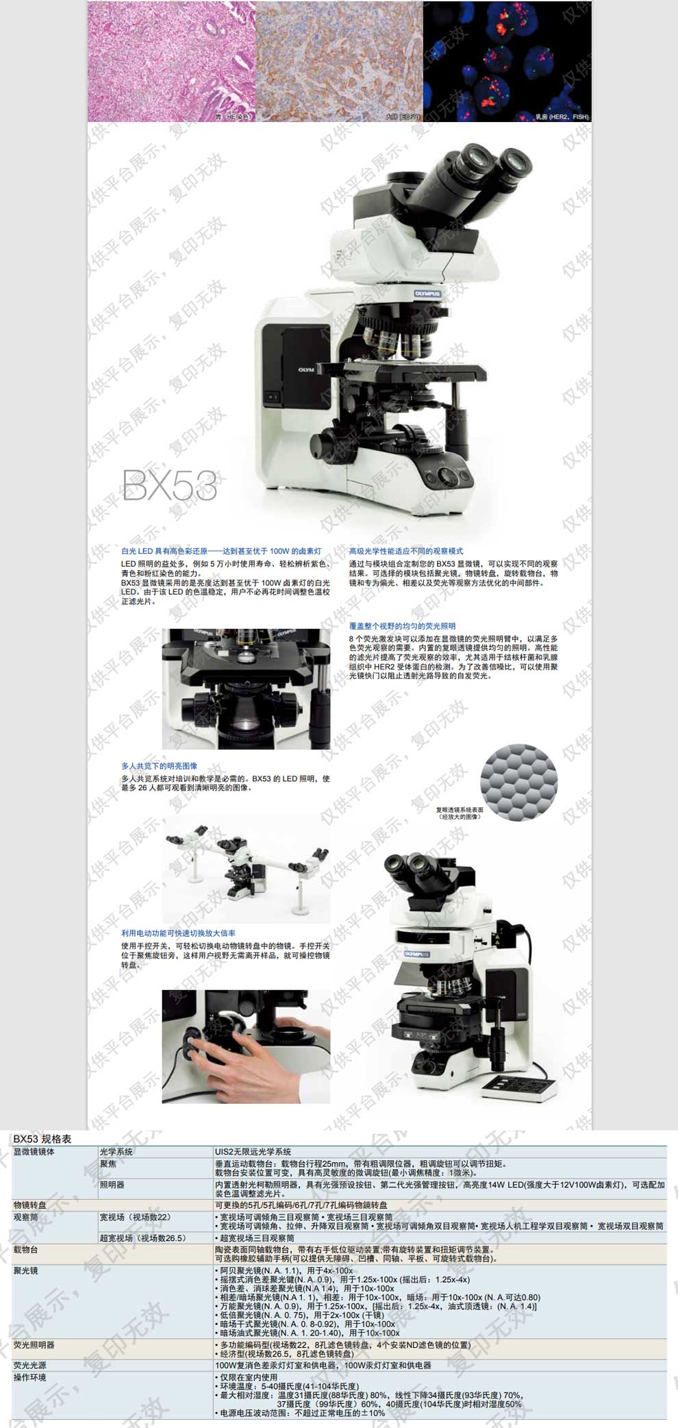 BX53系列-彩页.jpg